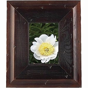 Walnut finish THYME 5x7 Reclaimed Wood frame by Burnes®