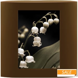 ELLIPSE walnut basswood frame from Prinz