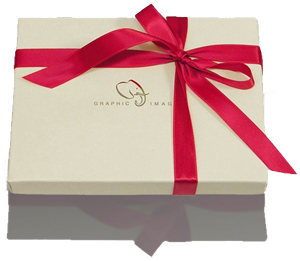 Storage Gift Box (w/holiday bow)